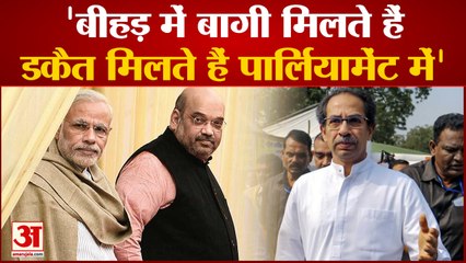 Unparliamentary Words: ‘बीहड़ में बागी मिलते हैं, डकैत मिलते हैं पार्लियामेंट में’ | Shivsena |