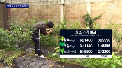 “쌈 채소 놓을 때 가슴 떨려요”…알바 없애고 반찬 줄이고