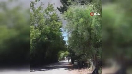 Son dakika haber | Çim üretim firmasının serasında korkutan yangın