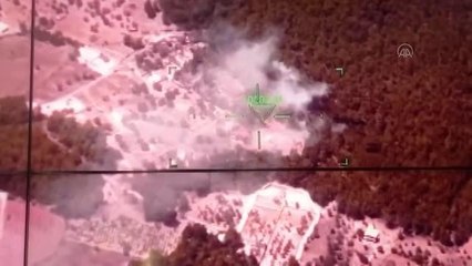 Son dakika haberleri... Ormanlık alanda çıkan yangına müdahale ediliyor (2)