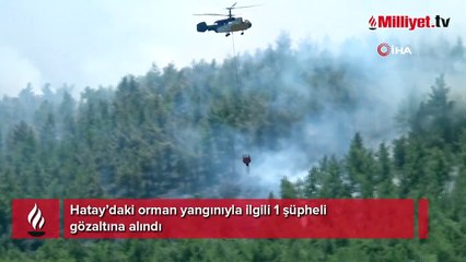 Hatay’daki orman yangınıyla ilgili 1 şüpheli gözaltına alındı