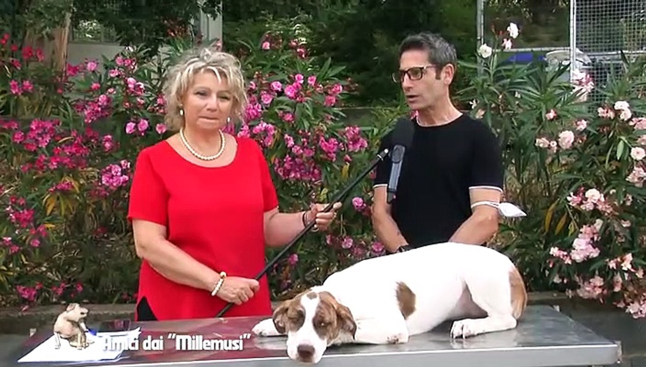 Seconda puntata Millemusui