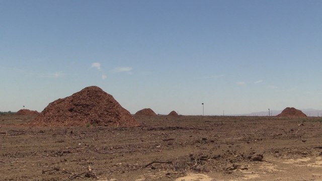 California se seca: un día de riego semanal y miles de hectáreas sin plantar