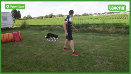 Démonstration d'Agility à Pontillas