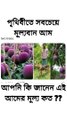পৃথিবীতে সবচেয়ে মূল্যবান আম