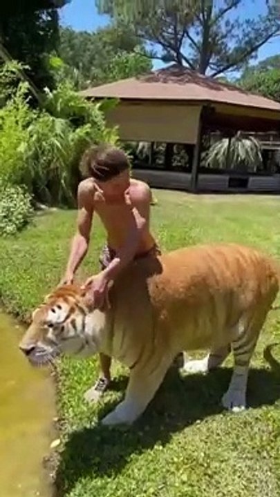 Best Funny Animal Videos of the year (2021), funniest animals ever. relax with cute animals.AWW anim