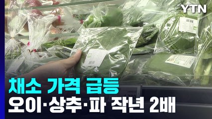 상추·오이 등 채소 가격 작년의 2배...밥상물가 부담 증가 / YTN