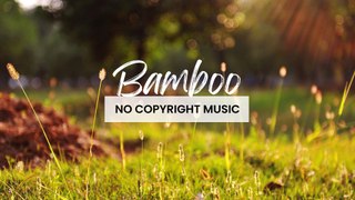 Good Vibes (Copyright Free Background Music) - Bamboo by Hartzmann