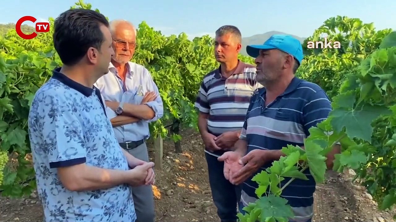 Üzüm üreticisi artan maliyetten dert yandı: 'Destek olmuyorlar, köstek olmasınlar'