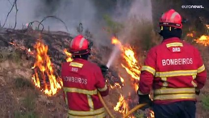 Огненное лето Европы: пожары не отступают