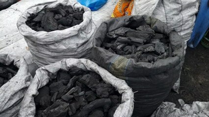 How to stop deforestation in the Congo Basin