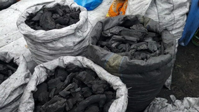 How to stop deforestation in the Congo Basin