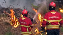 شاهد: حرائق ضخمة تلتهم الغابات والأحراج في فرنسا وإسبانيا والبرتغال وسط موجة حرّ خانقة