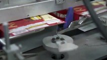 Inside Chocolate Pie Factory  How its Made Choco Pie  Modern Food Factory_360p