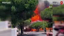 Avrupa'da sıcak hava paniği! Birçok ülkede orman yangını