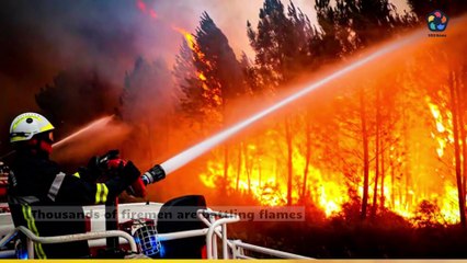 Deadly wildfires rage across the Mediterranean