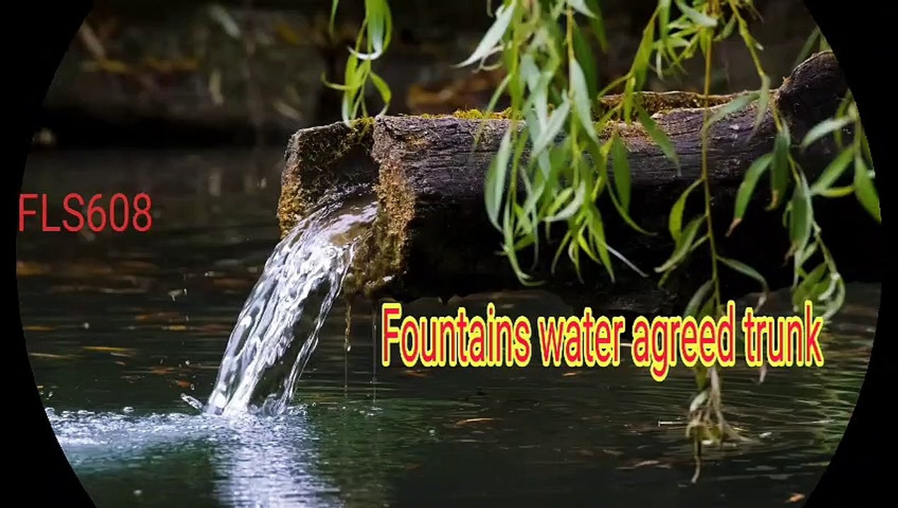 ঝর্ণার পানি সম্মত ট্রাঙ্ক / Fountains water agreed trunk #beautiful #FLS608 #waterfalls