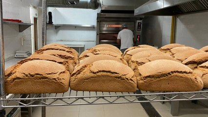 İzmirliler karakılçık buğdayını sevdi