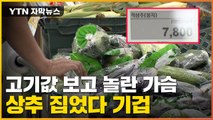 [자막뉴스] 상추 집었다 '화들짝'...심상치 않은 채소 가격 / YTN