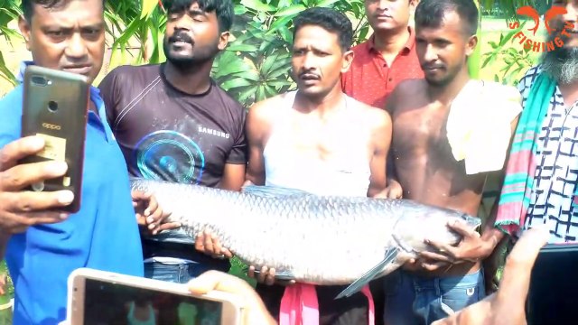 Traditional Hook Fishing _ Hook Fishing _ Big Grash Carp Fishing in Pond _ S FishingTV