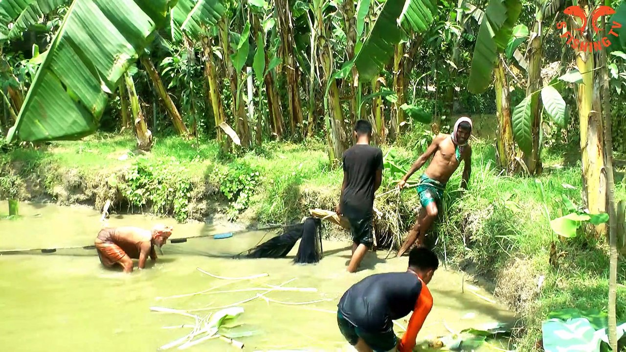 Amazing Asian Net Fishing Video 2022 ||Traditional Fish Catching In Village ||Best Fishing