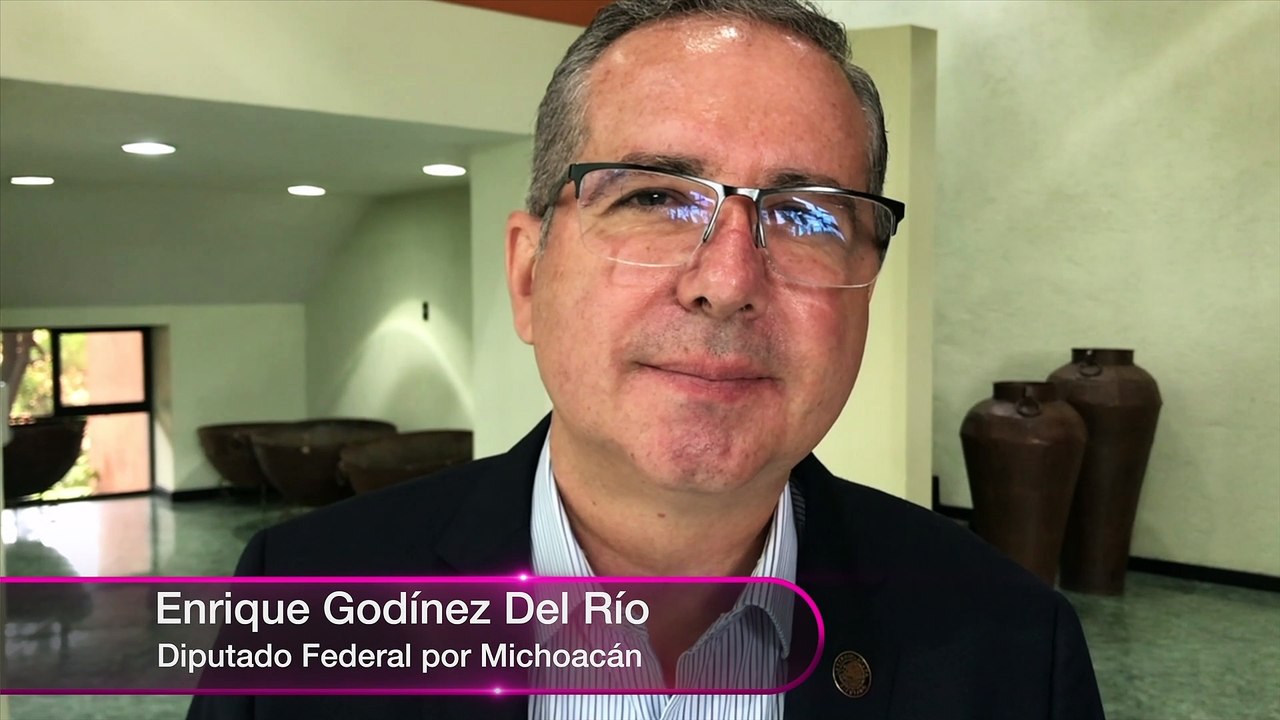"Seguimos visitando nuestro Distrito" Entrevista con el Diputado Federal: Enrique Godínez Del Río