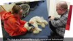 Dog Therapy: Meet the Canine befrienders at South West Yorkshire Partnership NHS Foundation Trust