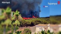 İspanya’da orman yangınları