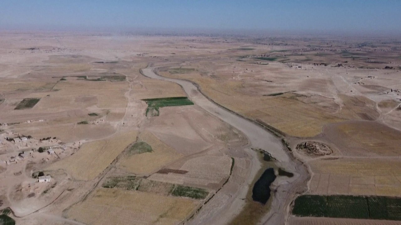 بسبب الجفاف.. مجاعة وشيكة تهدد مناطق في سوريا