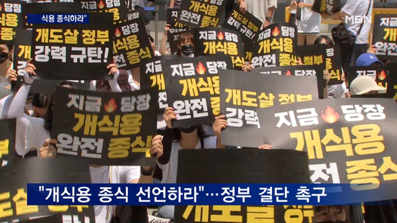 "개 식용 종식하라"…초복 맞아 정부에 결단 촉구