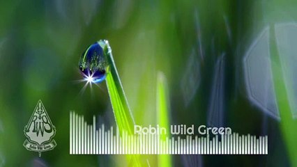 DEW | morning music spirit | NO COPYRIGHT - Robin Wild Green