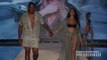 Highlights of Nicole Williams English and Larry English at Miami Swim Week