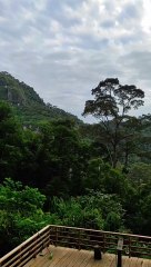 beautiful natural scenery