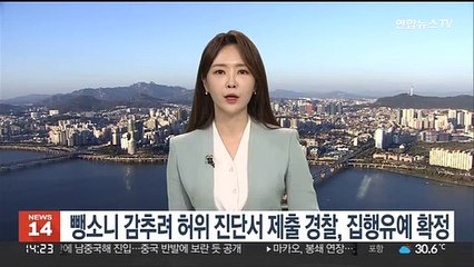 뺑소니 감추려 허위진단서 제출 경찰, 집행유예 확정