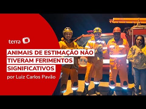 Cachorros soterrados são resgatados por Bombeiros em MG