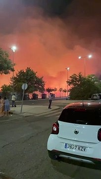 Arde un solar de rastrojos junto al canal del Guadalmellato