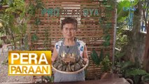 Isang café sa Bulacan, suman ang ibinibida! | Pera paraan