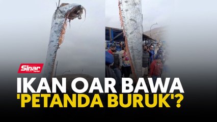 Ikan oar bawa 'petanda buruk'
