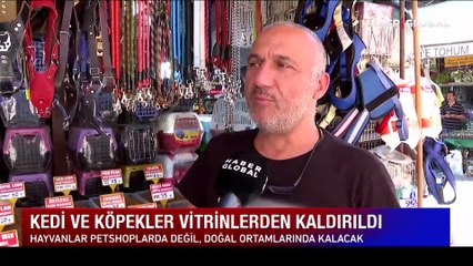 Kedi ve köpekler vitrinlerden kaldırıldı