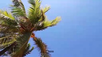 7 Pulau Paling Misterius di Dunia yang Bakalan Bikin Kamu Merinding Ngeri!