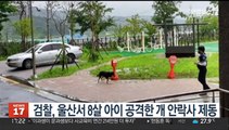 울산서 8살 아이 공격한 개…검찰 안락사 진행 제동