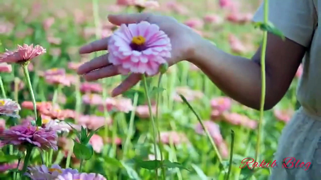 O_Mon_Re_(_ও _মোনরে)__Mon (ও মোনরে)__প্রকৃতির_ছবির  video.Rakib blogs,dailymotion vide