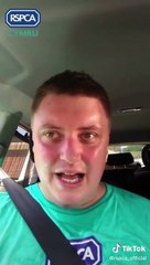 What it's like to be stuck in a car on a hot day