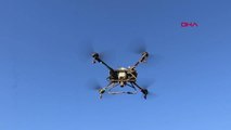 TRAKYA'DA AYÇİÇEK TARLALARINI İSTİLA EDEN 'ÇAYIR TIRTILI' İLE DRONLU MÜCADELE