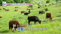 관절 건강과 관절염 극복에 도움을 주는 ’콘드로이친‘ TV CHOSUN 20220717 방송