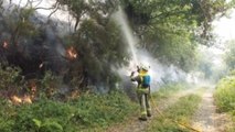 Otra jornada de calor y lucha contra los incendios