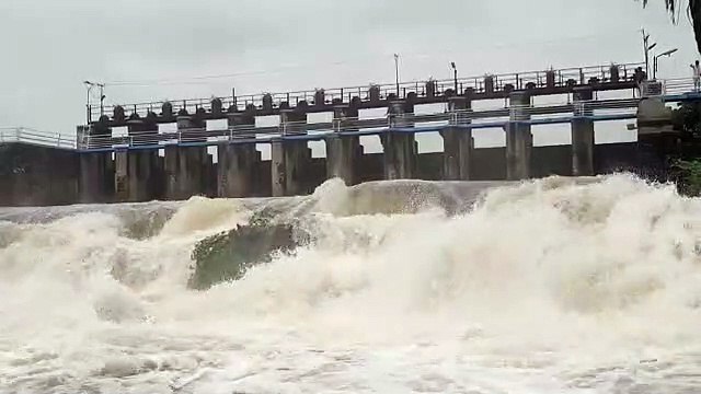 एक जून से 16 जुलाई तक प्रदेश में 205.73 मिमी बरसात,फिर भी 716 बांधों में से 369 बांधी खाली