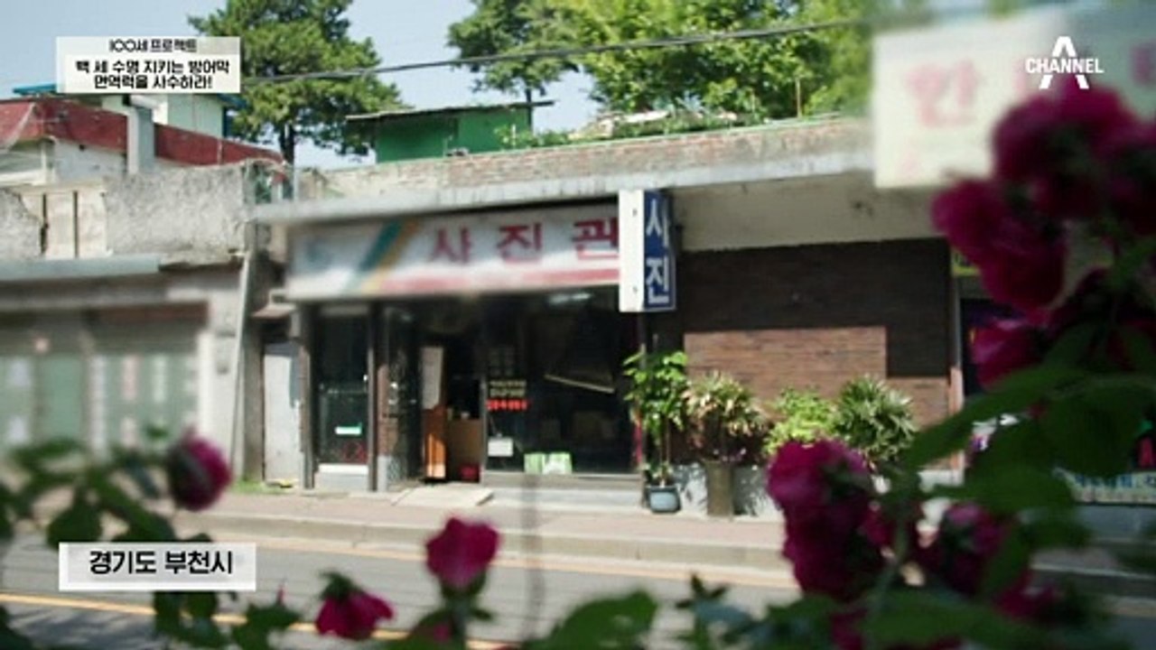 갱년기 면역력 증진을 위해 지켜야 할 단백질 위주 식습관!