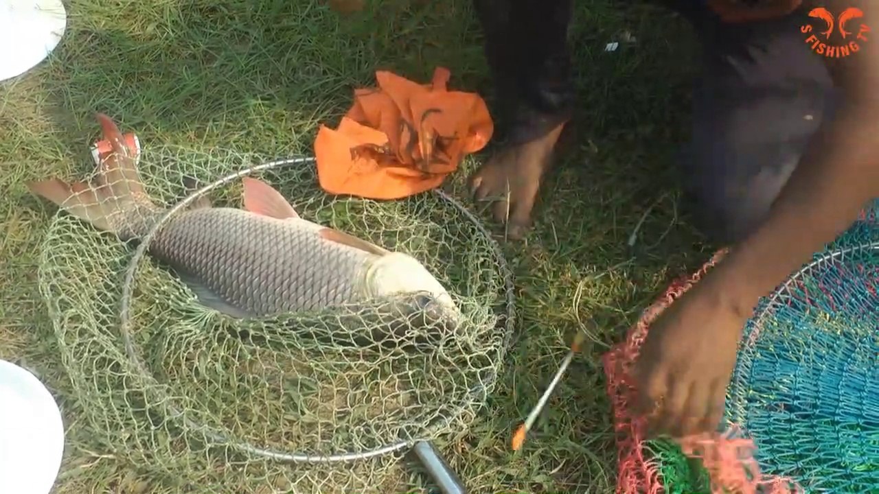 Hook Fishing __Traditional Hook Fishing __ Best Hook Fishing __ S Fishing Tv