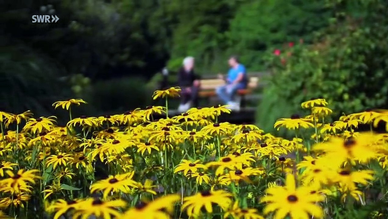 7 Tage... unter Depressiven